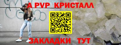 прущие грибы Малгобек