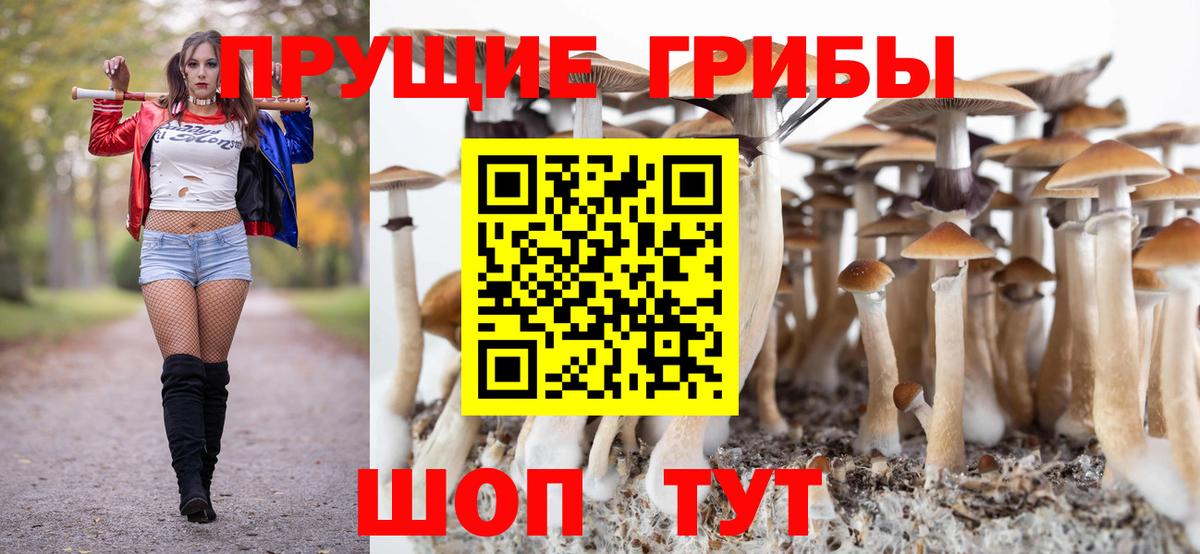 Псилоцибиновые грибы MAGIC MUSHROOMS  Вход с VPN  Ковров 